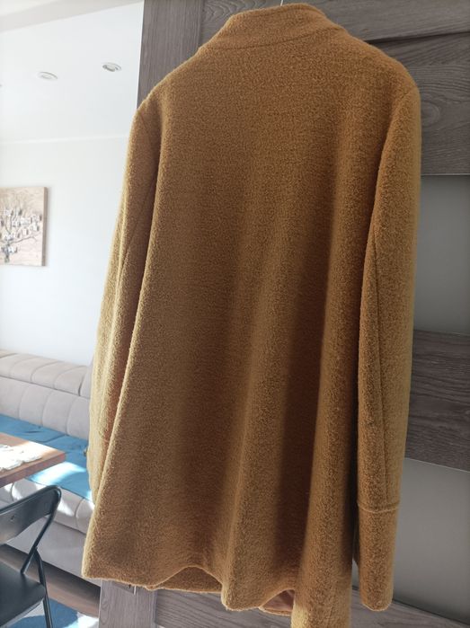 Płaszczyk wiosenny miodowy