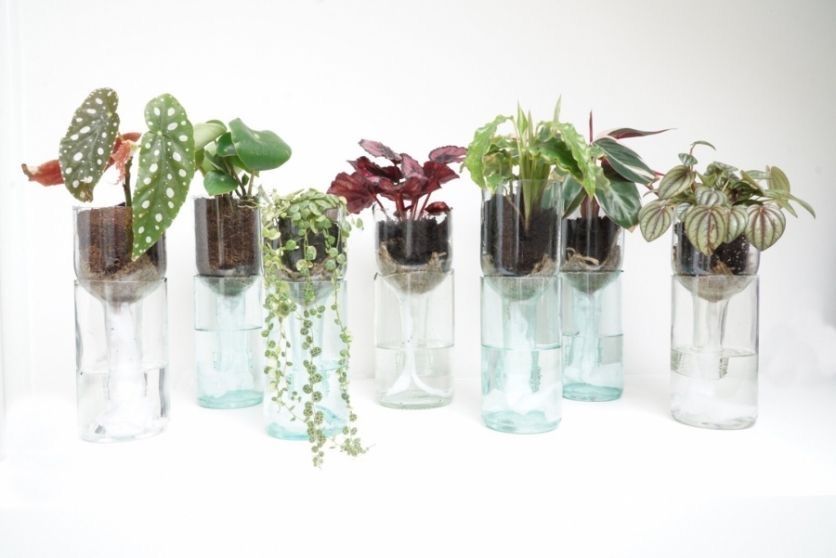 Кашпо з автополивом