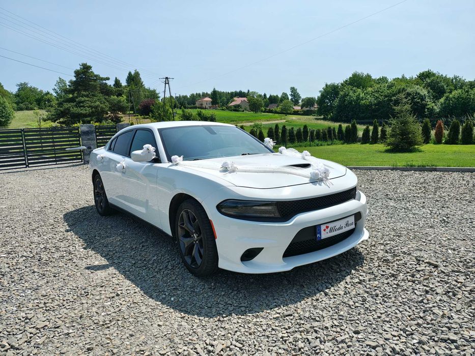 Do ślubu Dodge charger