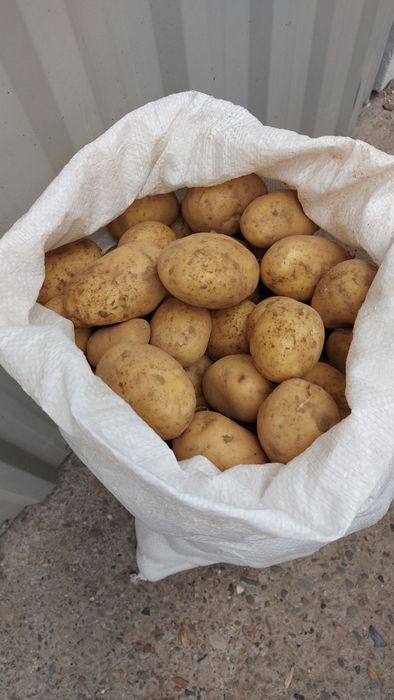 ziemniaki na zamówienie soraya bellarosa riviera