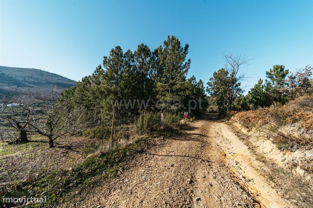 Terreno Rústico / Fundão, Alcaide — Alcaide, Castelo Branco
