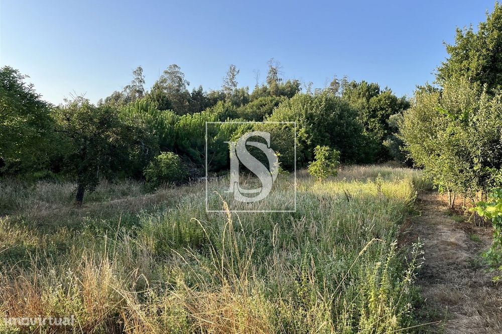Land for Sale in Canas de Santa Maria, Tondela