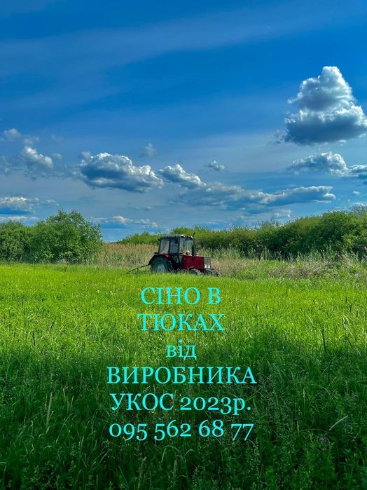 СІНО (Сено) СВІЖЕ 2025р.Лугове в тюках. Біла Церква!