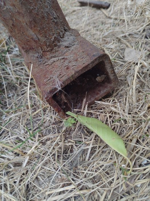 Почти дизайнерский радиатор отопления регистр