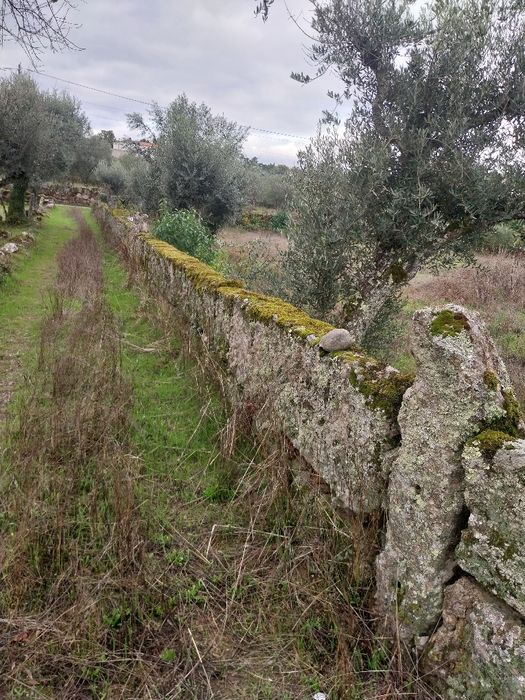 Terreno rústico perto serra da estrela
