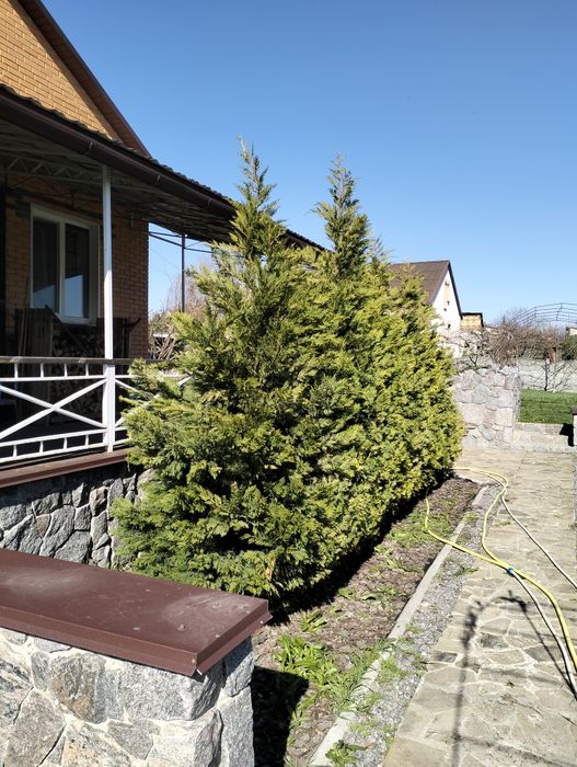 Уютный дом с красивым видом.