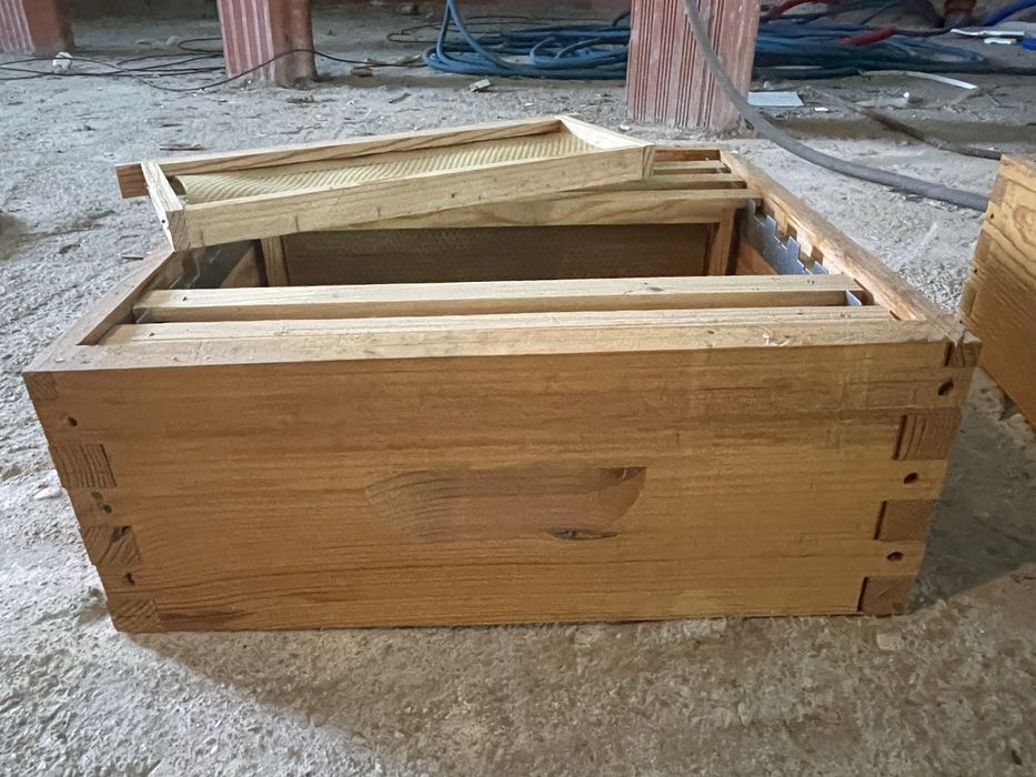 Meias alças, colmeias, núcleos