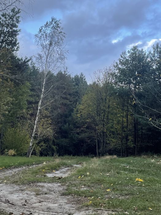 Будинок в лісі(!)