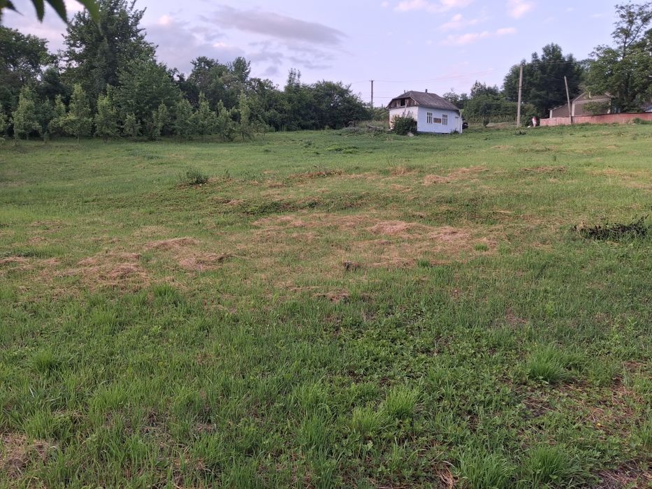 Земельна ділянка