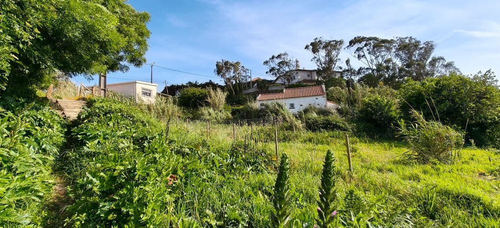 Terreno com casa T1