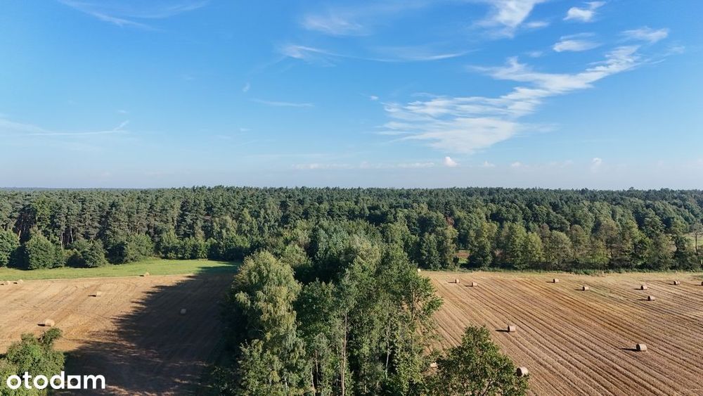 Zdjęcie 6