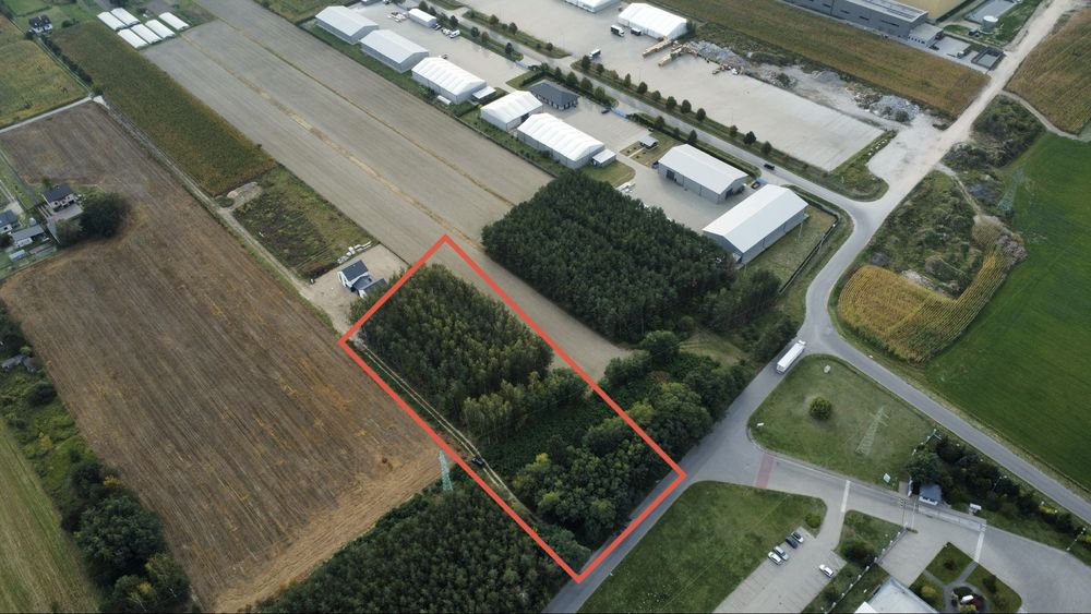 Działka usługowa Paprotnia gm. Teresin 4342 m² - Widok 4
