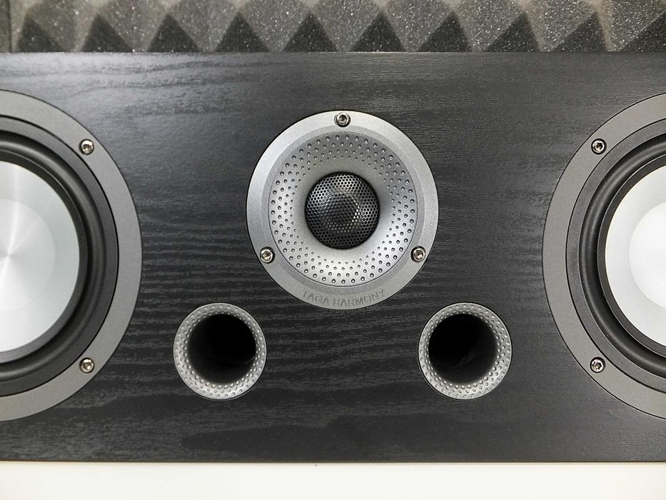 Wysokiej klasy kolumna centralna TAGA HARMONY PLATINUM C-100 v.4