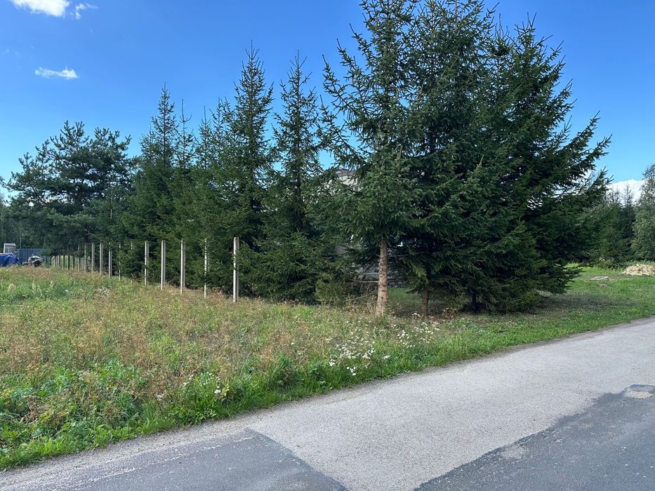 BUDYNEK WARSZTATOWY z działką 2704 m² + działka 1708 m² znajdująca się 200m dalej - Widok 4