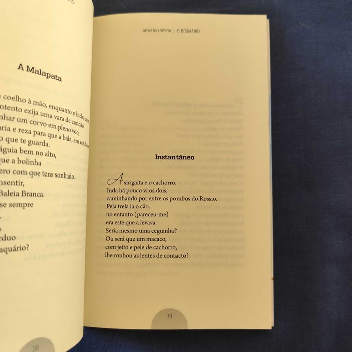 Arménio Vieira - O Brumário