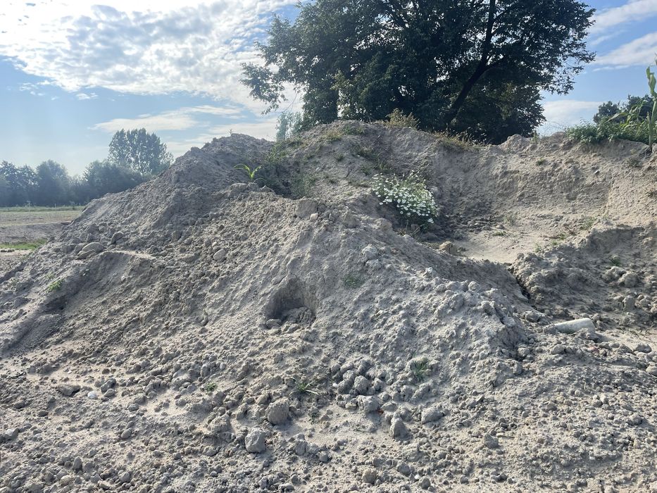 Oddam ziemie z wykopu stawu za darmo