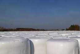 wysłodki buraczane baloty cała Polska