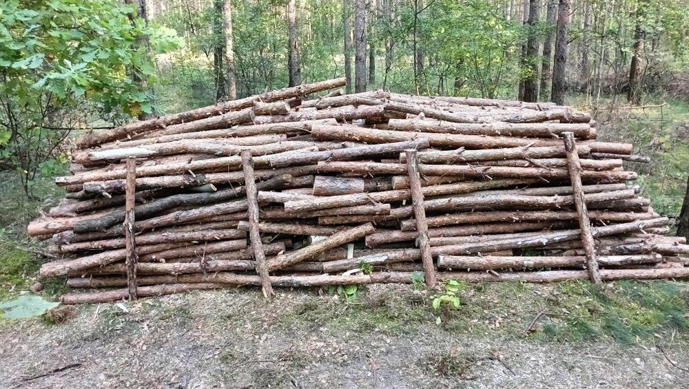 Drewno opałowe sosna