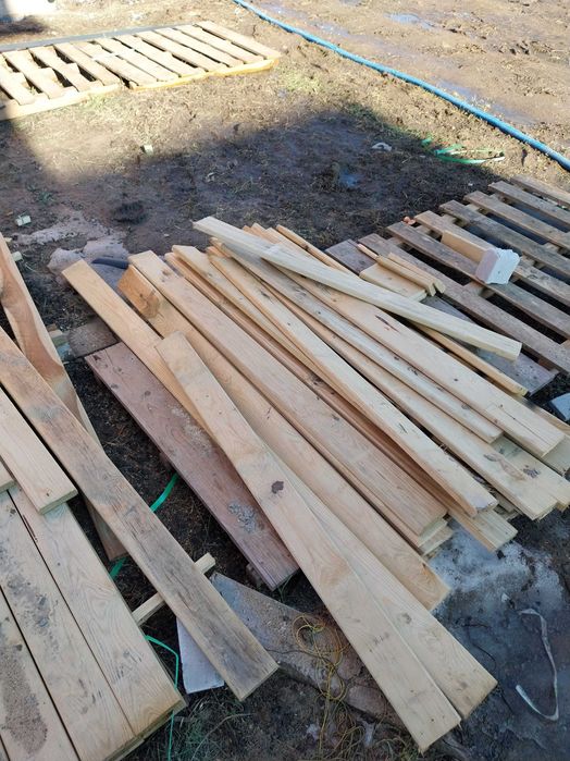 Oddam drzewo po budowie ZA DARMO