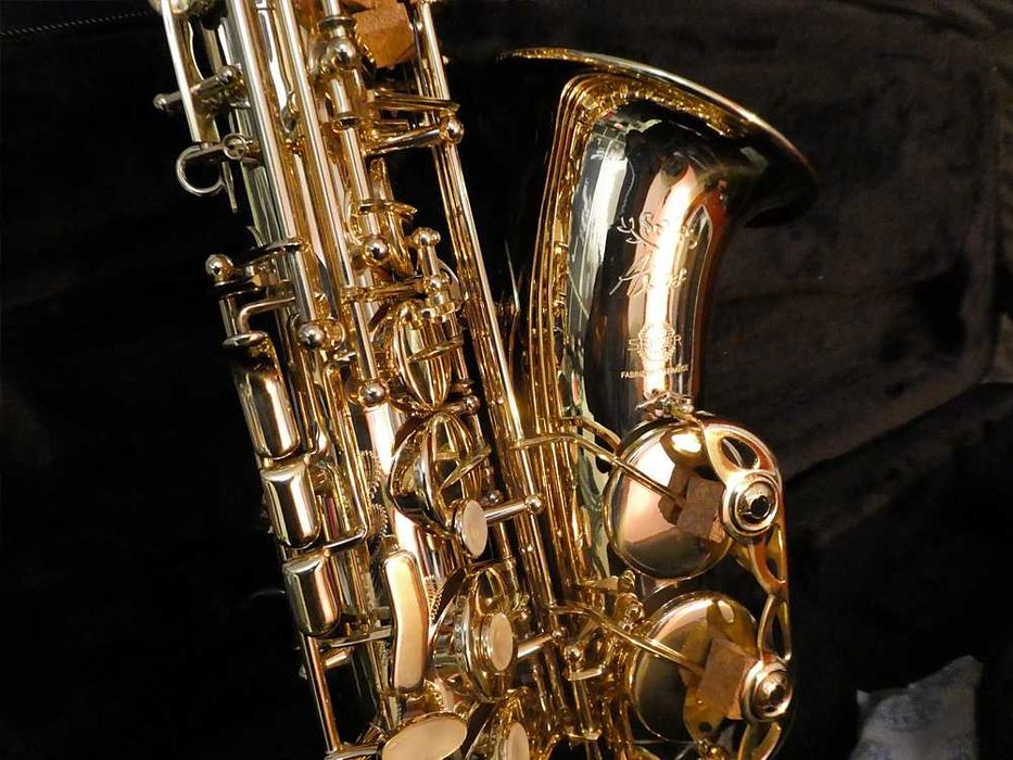 Saxofone Selmer Alto Axos - NOVO