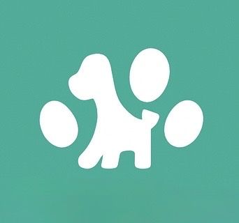 Dog Sitter e Treino de Cães – Passeios e Bem-Estar