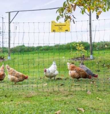 Siatka elektryczna dla drobiu Premium,Siatka drobiowa elektryczna