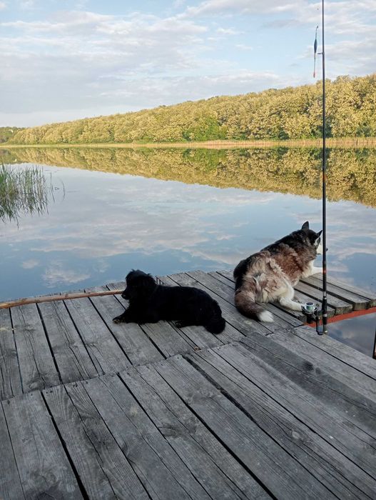 Дом у озера | Новокодакский район | Живи как на курорте