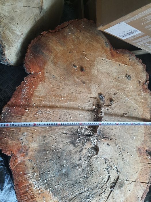 Plaster dębu duży gruby  105 /82 / 33 cm