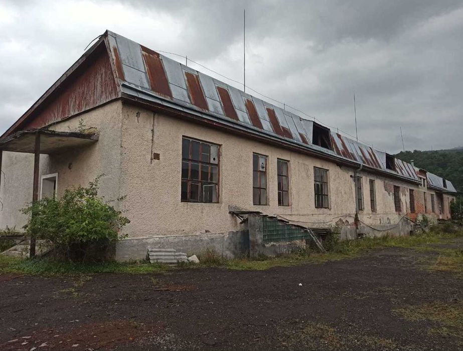 Продаж  консервного  заводу/Великий Бичків