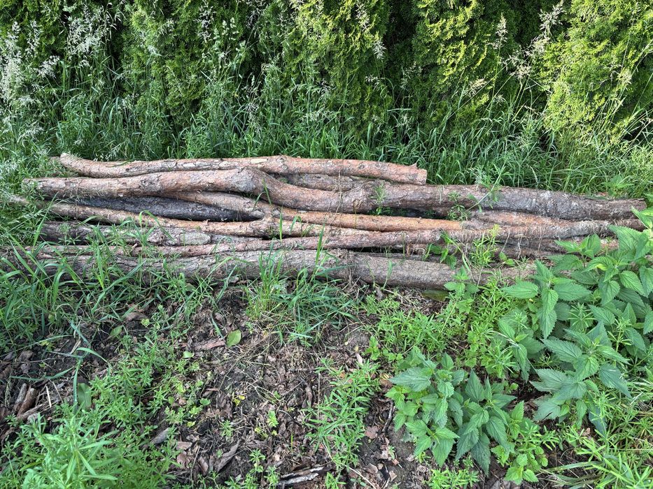 Stemple budowlane drewniane 280 cm