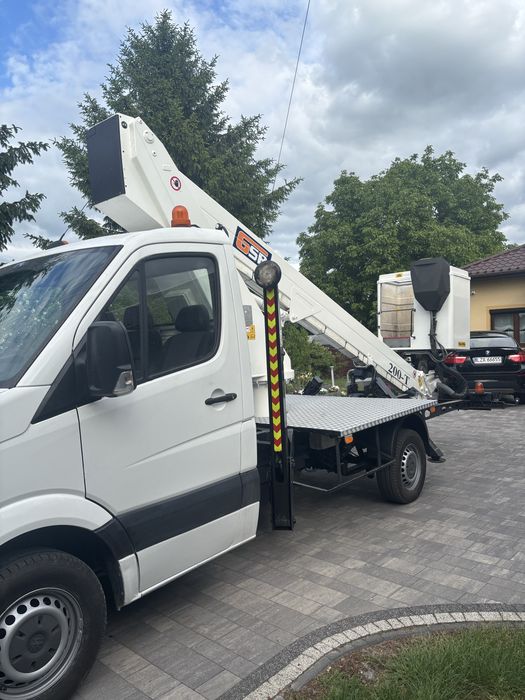Usługi podnosnikiem koszowym, Wycinka drzew metodą alpinistyczną, przycinanie żywoplotów,
