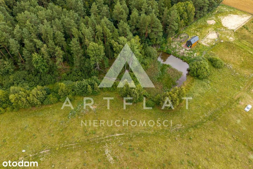 MPZP, las i staw , Szczodrowo - Widok 5