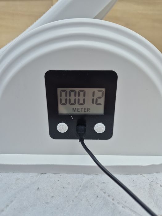 Bieżnia dla kota