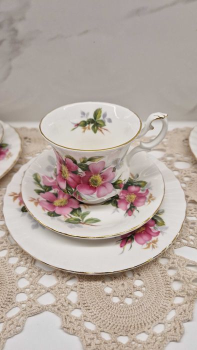 Royal Albert тріо "шипшина"