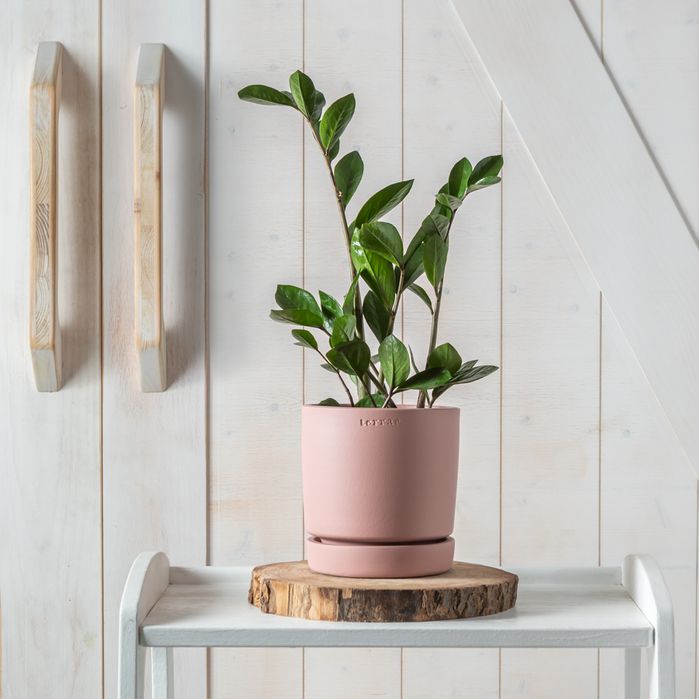 Vaso Moderno de Cerâmica Rosa Velho