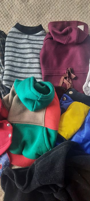Продам одяг для собачки