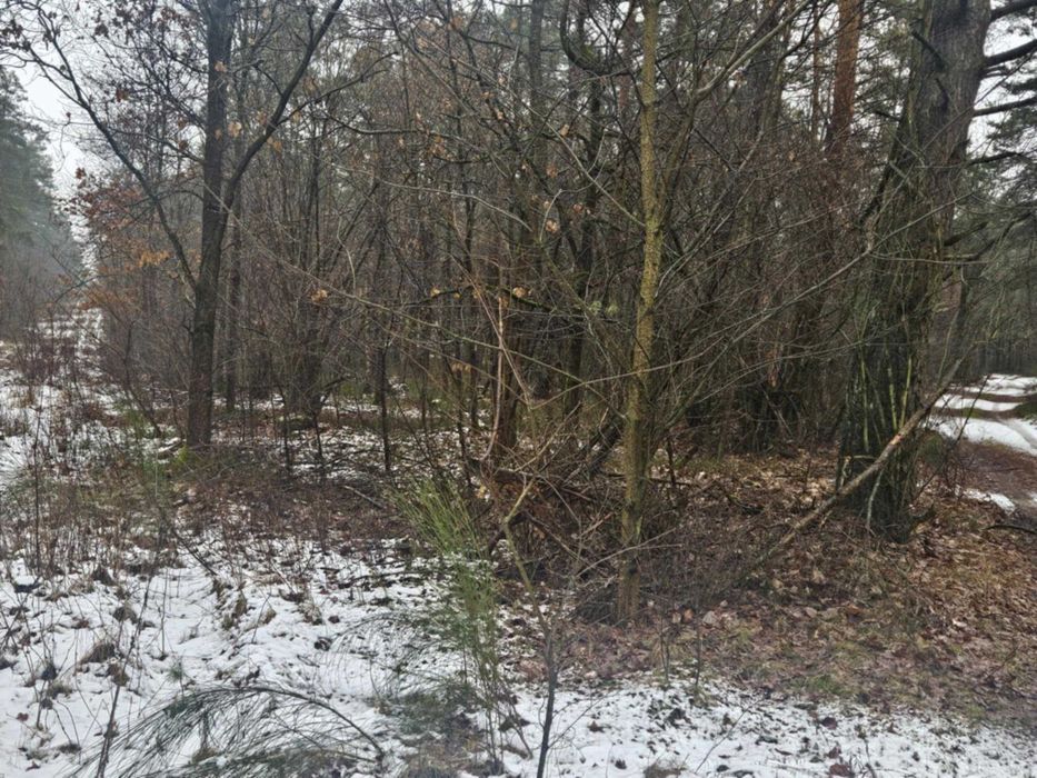 Sprzedam las i grunty calość 3,16ha