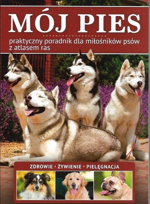 Mój Pies Praca Zbiorowa          2480