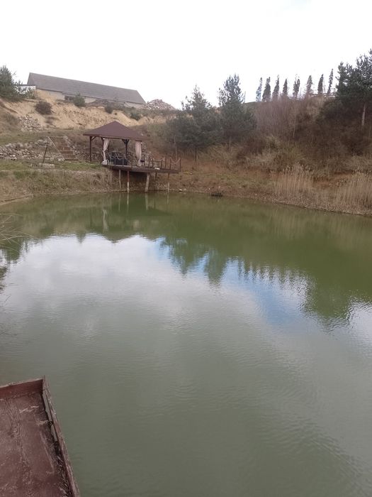 Wędkarstwo łapanie ryb