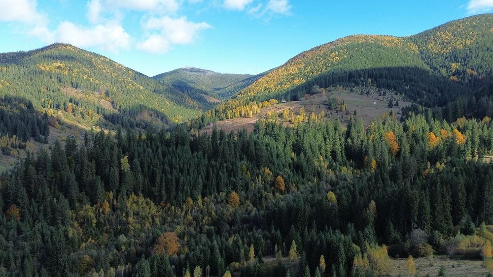 Земля під будову, межує з лісом, гарний доїзд