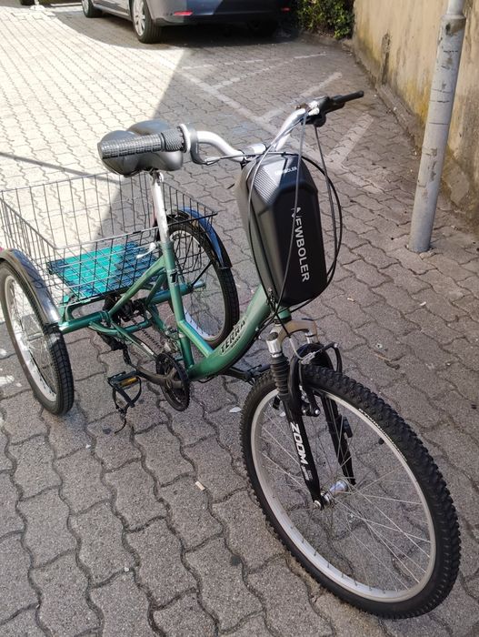 Triciclo adulto Terra