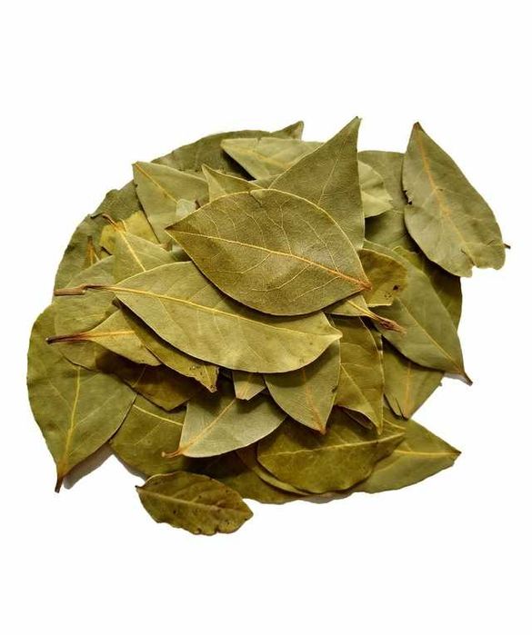Folhas Louro AGRICULTURA BIOLÓGICA, sacos de 1kg - tempero/chá
