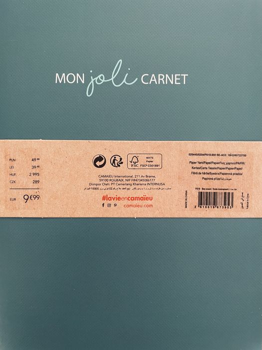 Набір записників - нотатників Camaïeu (made in France), 2 шт.