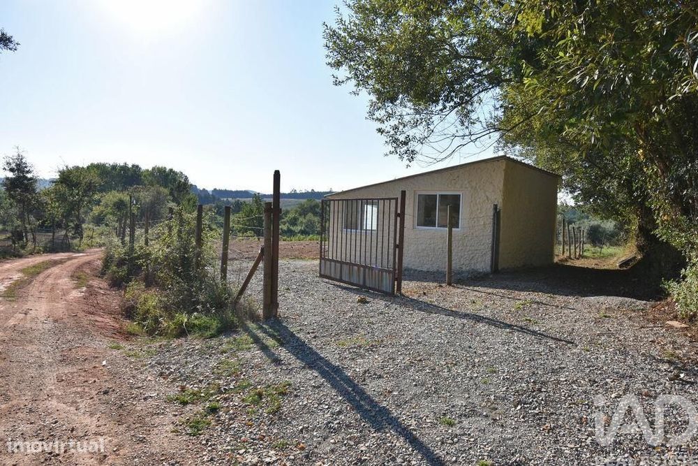 Terreno em Espinhal