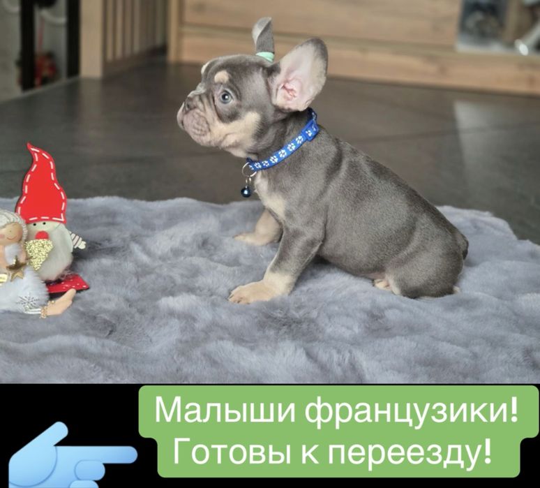 Французики мини стандарт