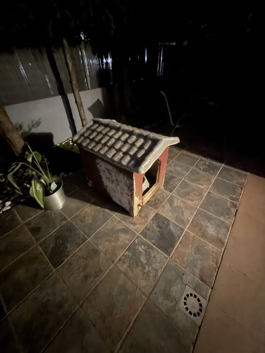 Casa de exterio para cão