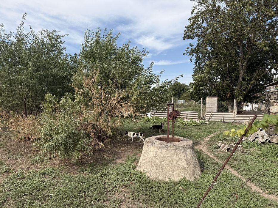 Продаю будинок в Баштанці