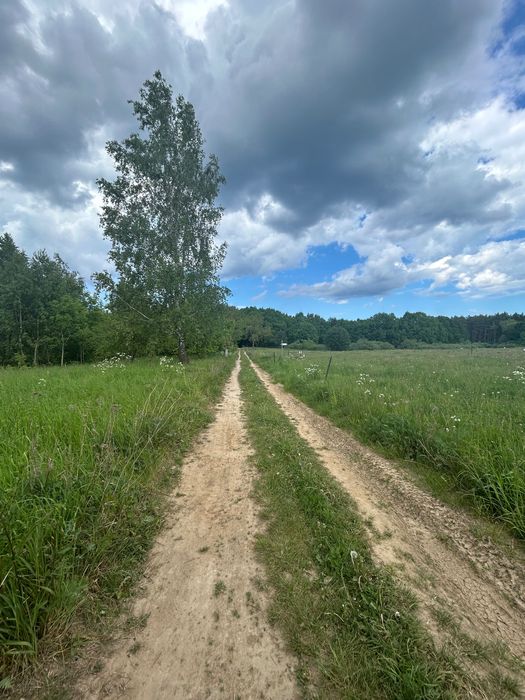 Sprzedam atrakcyjną działkę obok lasu w Dziwnówku