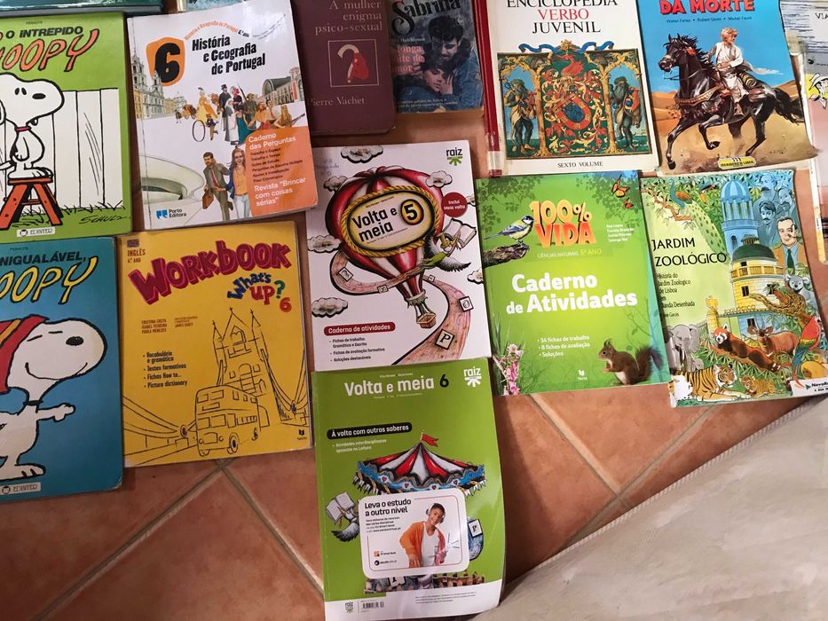 vendo o lote de livros da fotografia