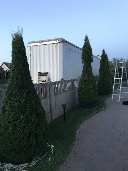 Топіарна стрижка бонсай нівакі ландшафтний дизайн
